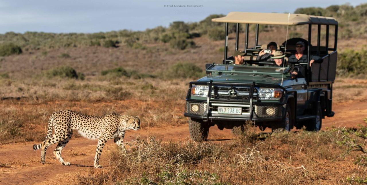 Woodbury Tented Camp - Amakhala Doğa Koruma Alanı Dış mekan fotoğraf