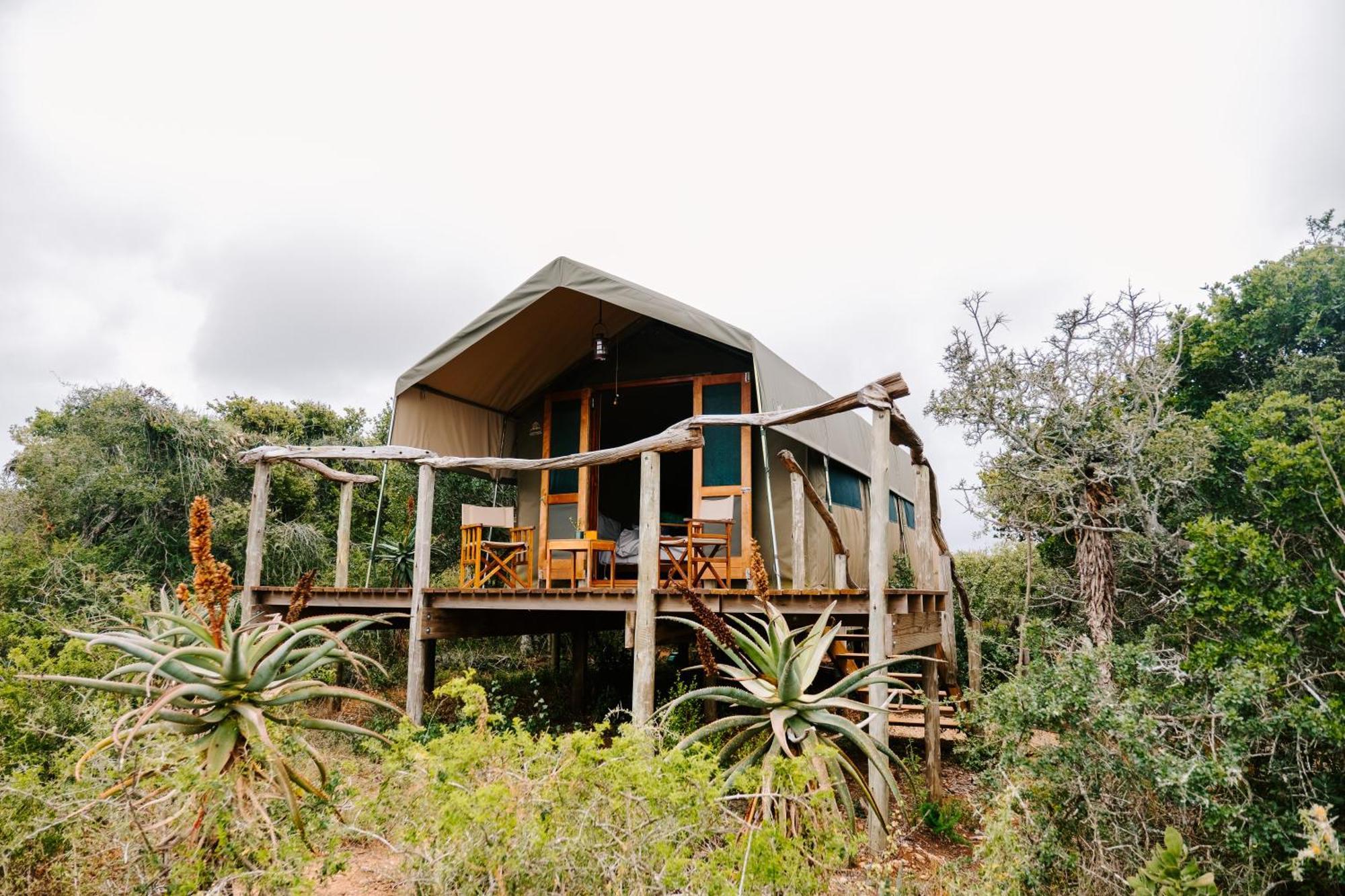 Woodbury Tented Camp - Amakhala Doğa Koruma Alanı Dış mekan fotoğraf