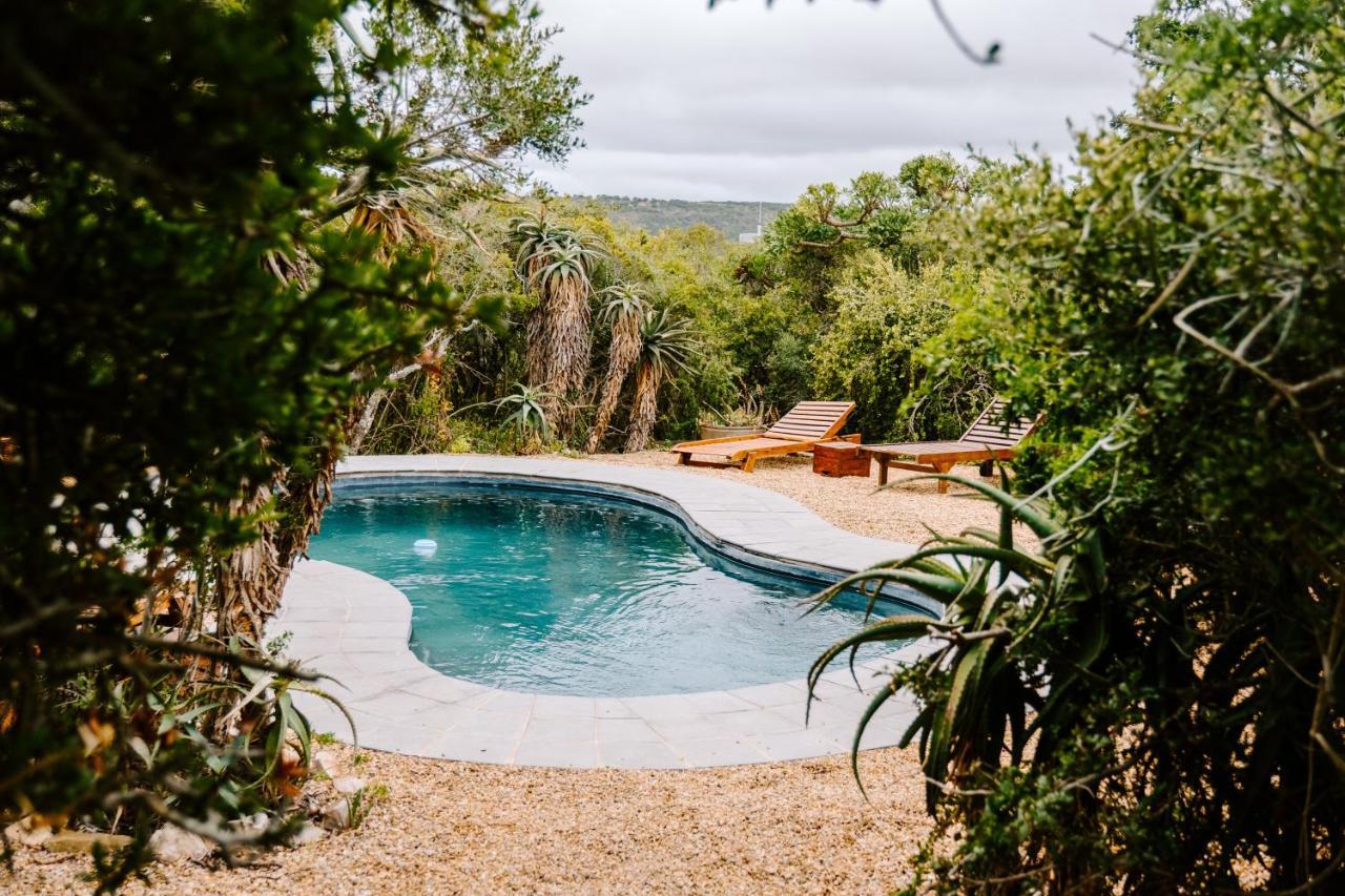 Woodbury Tented Camp - Amakhala Doğa Koruma Alanı Dış mekan fotoğraf