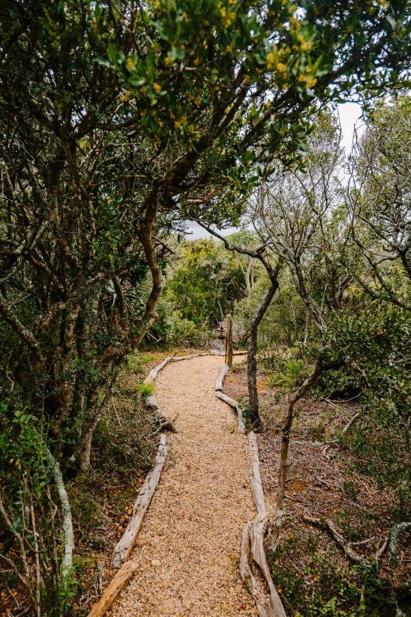 Woodbury Tented Camp - Amakhala Doğa Koruma Alanı Dış mekan fotoğraf