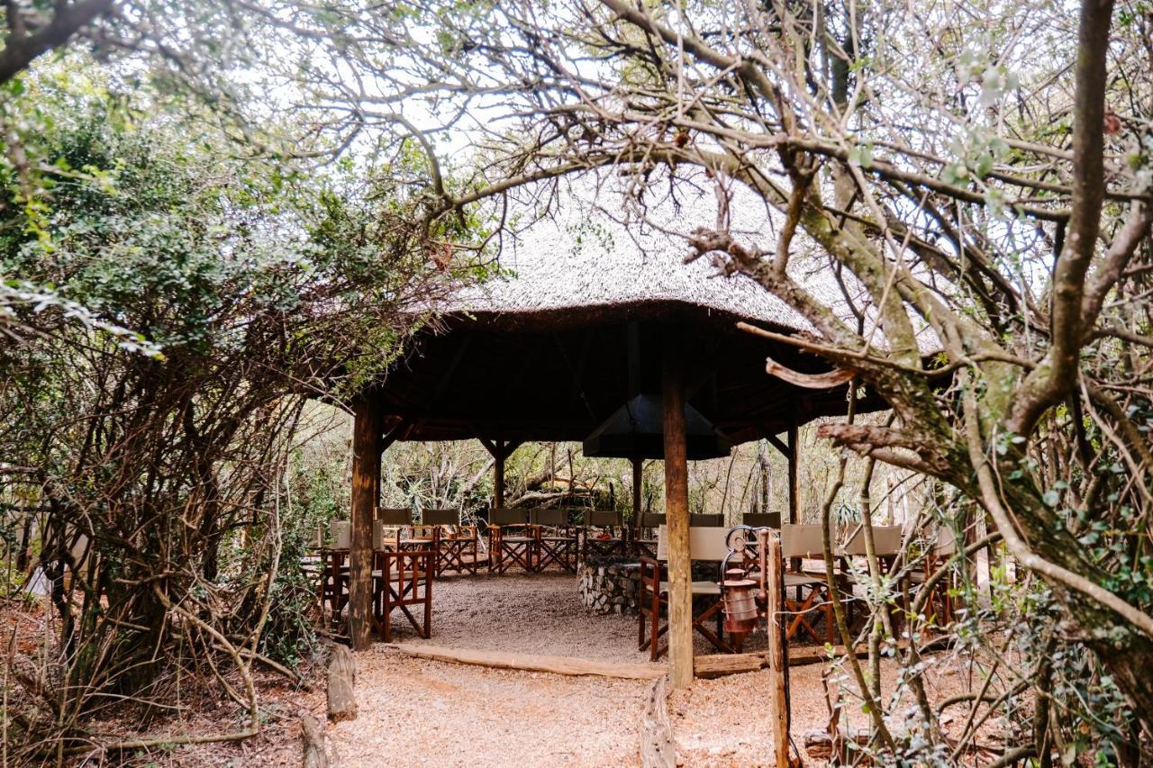 Woodbury Tented Camp - Amakhala Doğa Koruma Alanı Dış mekan fotoğraf