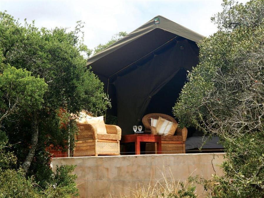 Woodbury Tented Camp - Amakhala Doğa Koruma Alanı Dış mekan fotoğraf