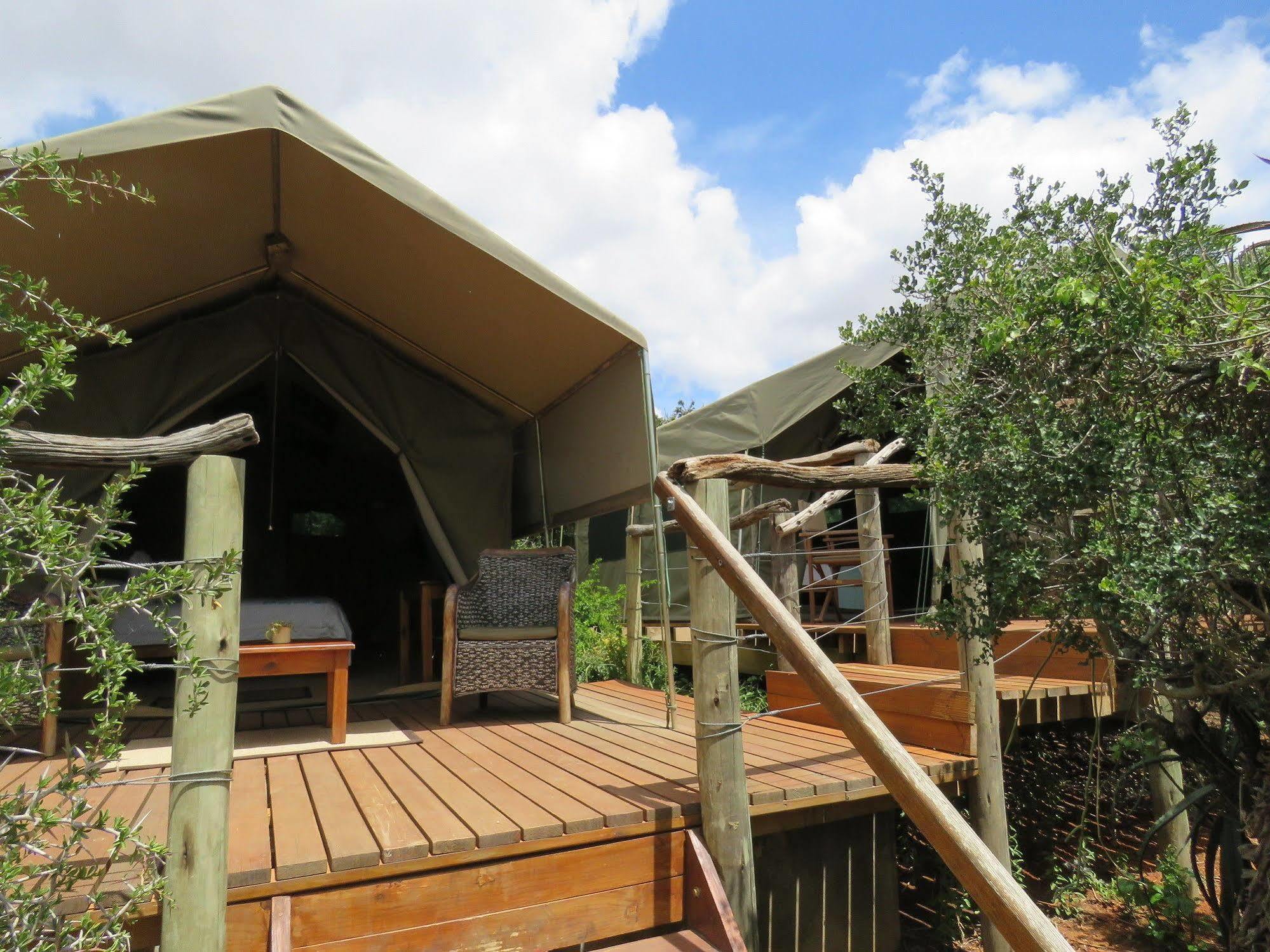 Woodbury Tented Camp - Amakhala Doğa Koruma Alanı Dış mekan fotoğraf