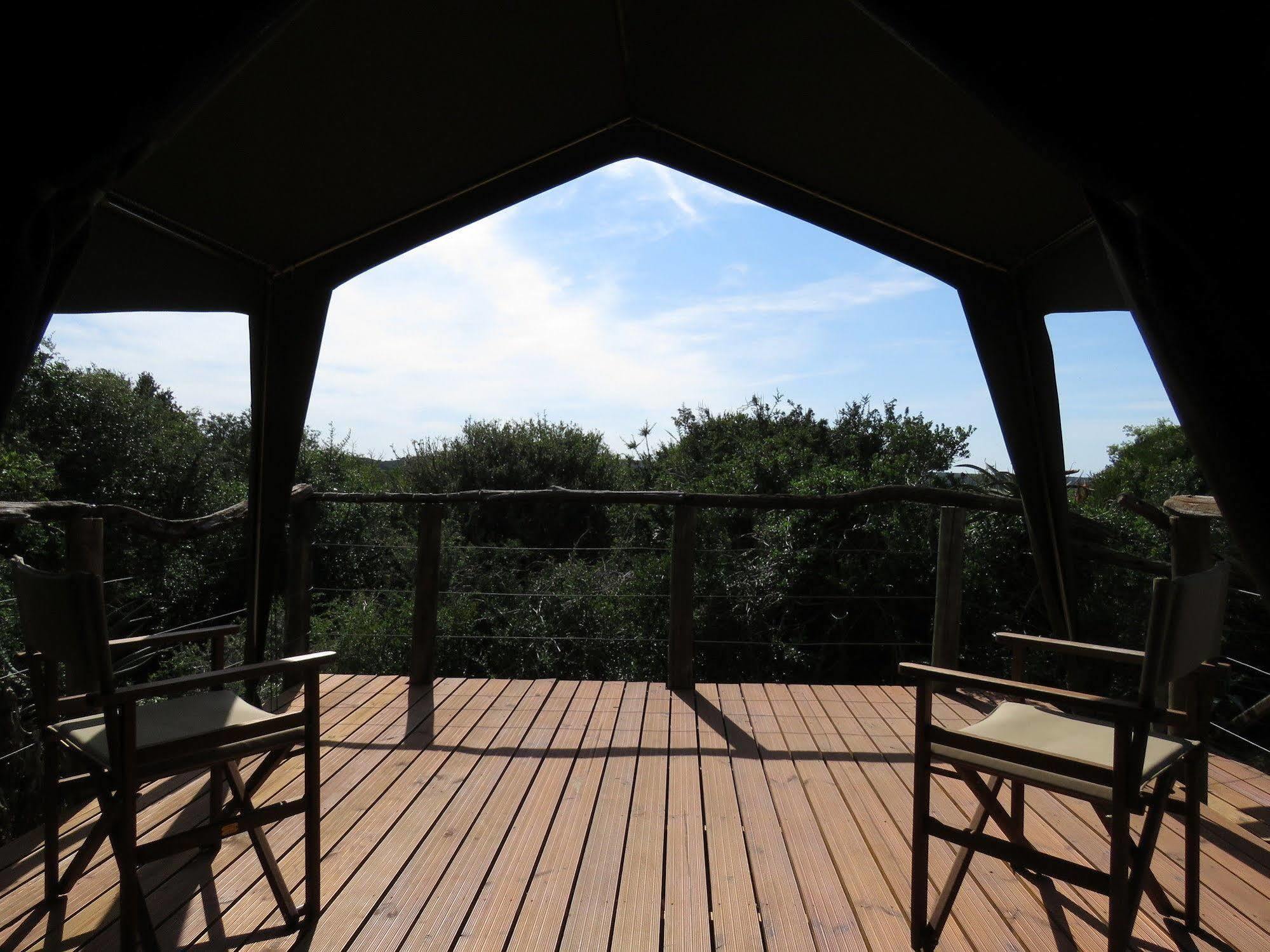 Woodbury Tented Camp - Amakhala Doğa Koruma Alanı Dış mekan fotoğraf