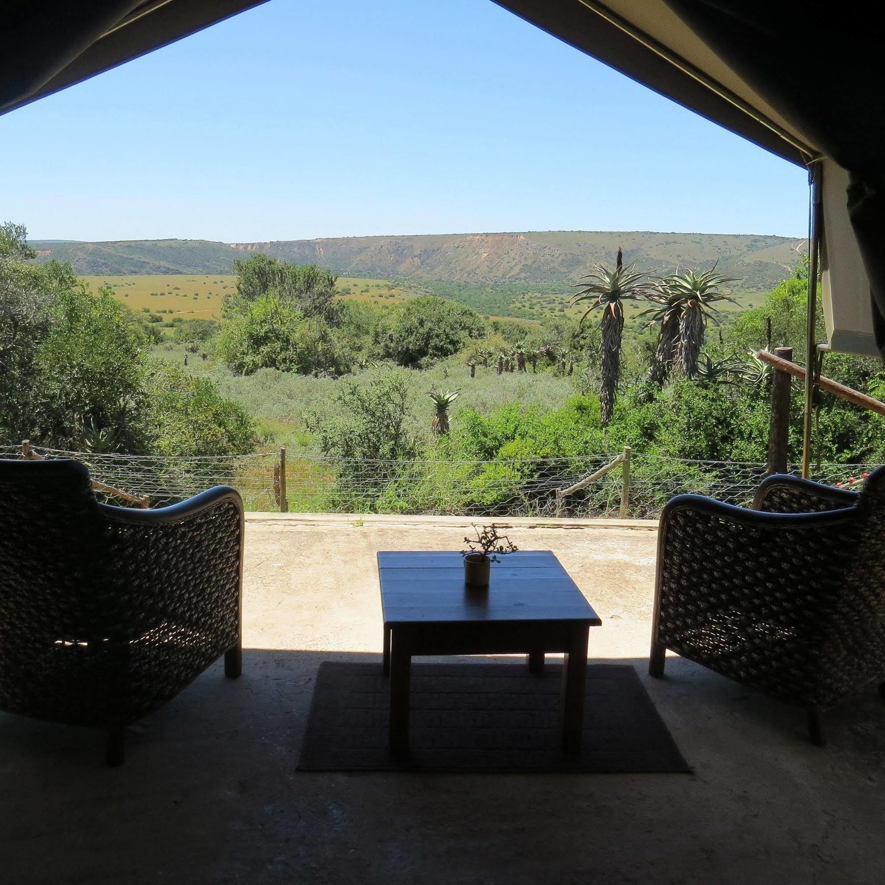 Woodbury Tented Camp - Amakhala Doğa Koruma Alanı Dış mekan fotoğraf