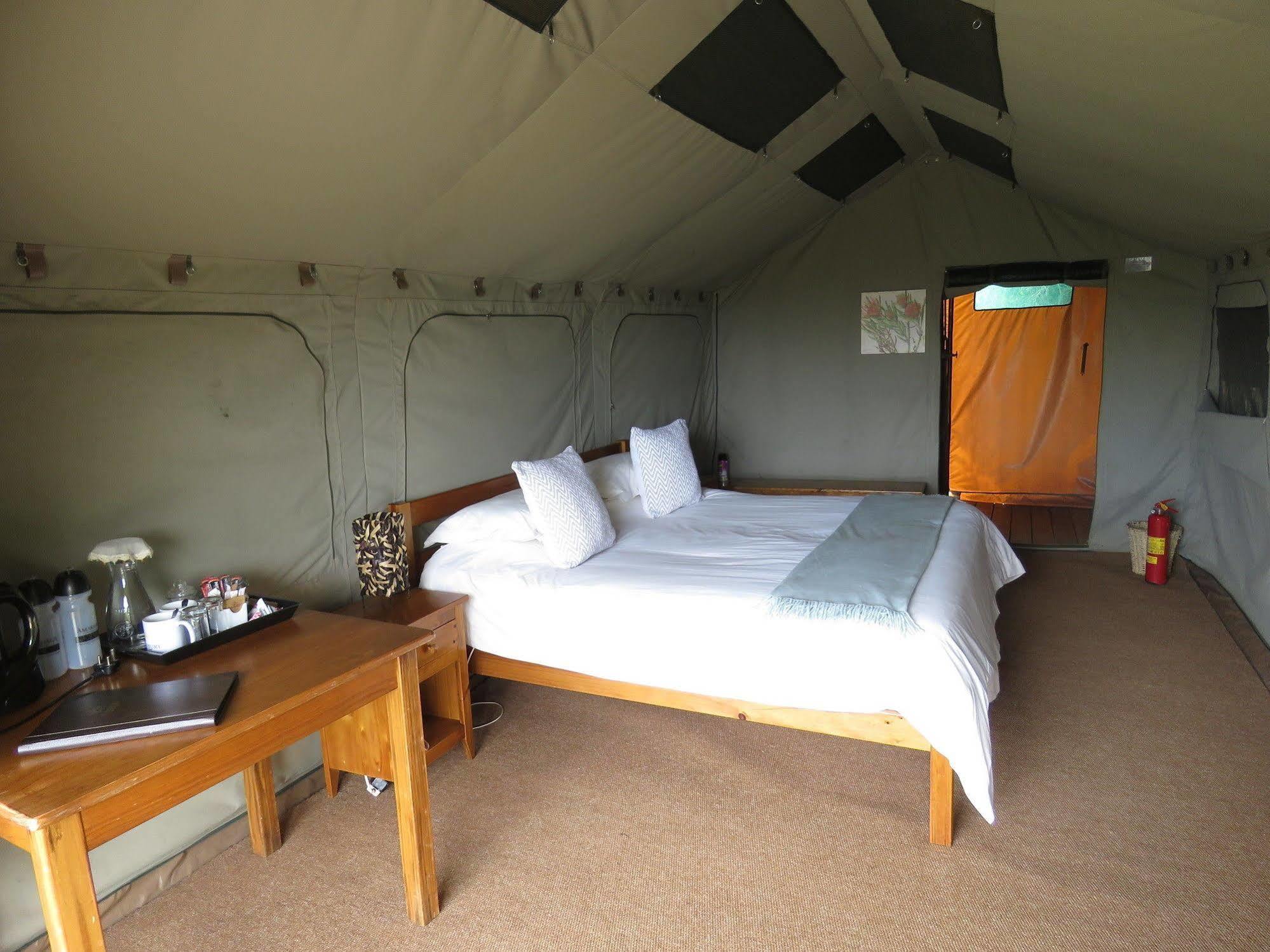 Woodbury Tented Camp - Amakhala Doğa Koruma Alanı Dış mekan fotoğraf