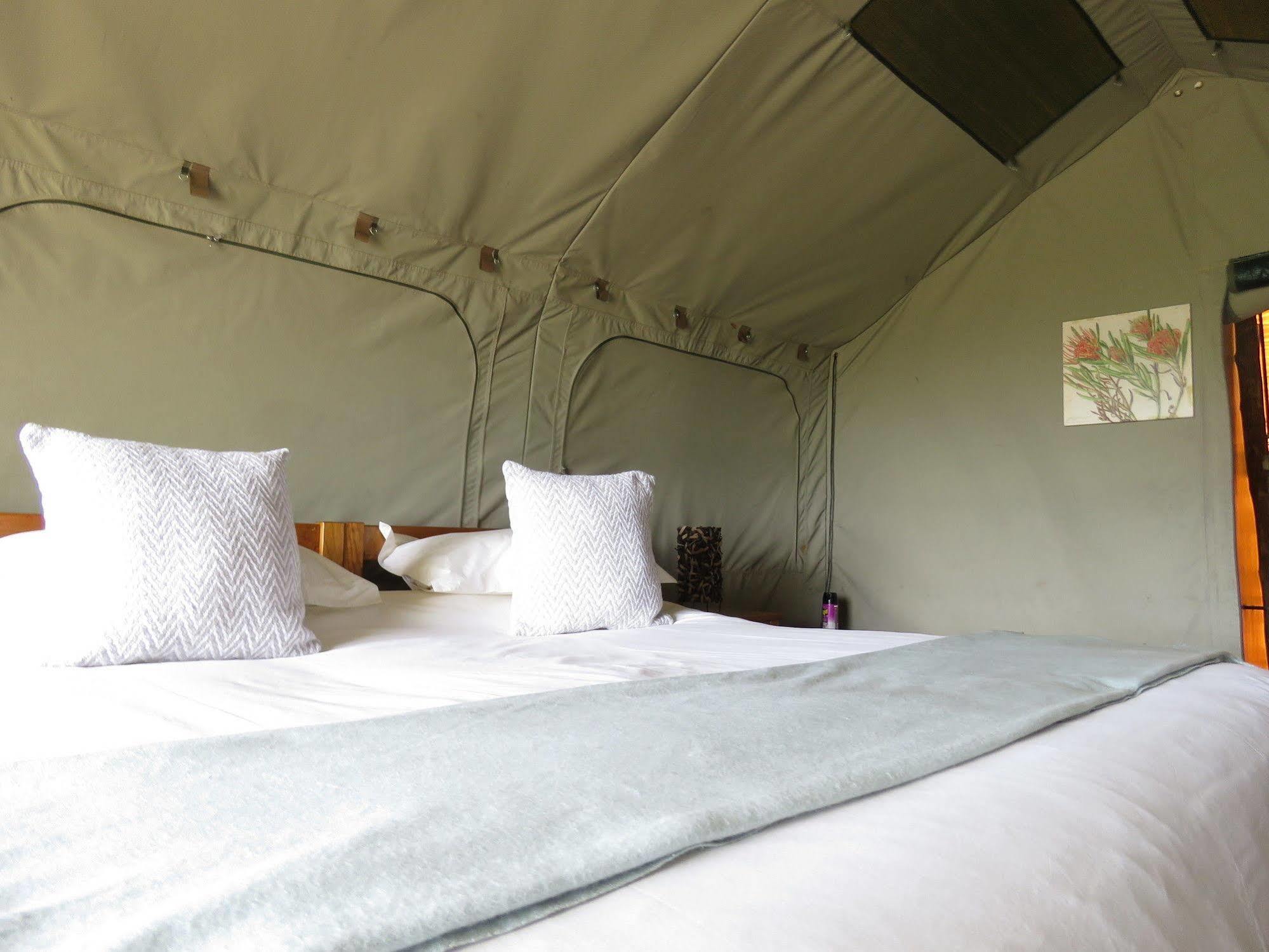 Woodbury Tented Camp - Amakhala Doğa Koruma Alanı Dış mekan fotoğraf