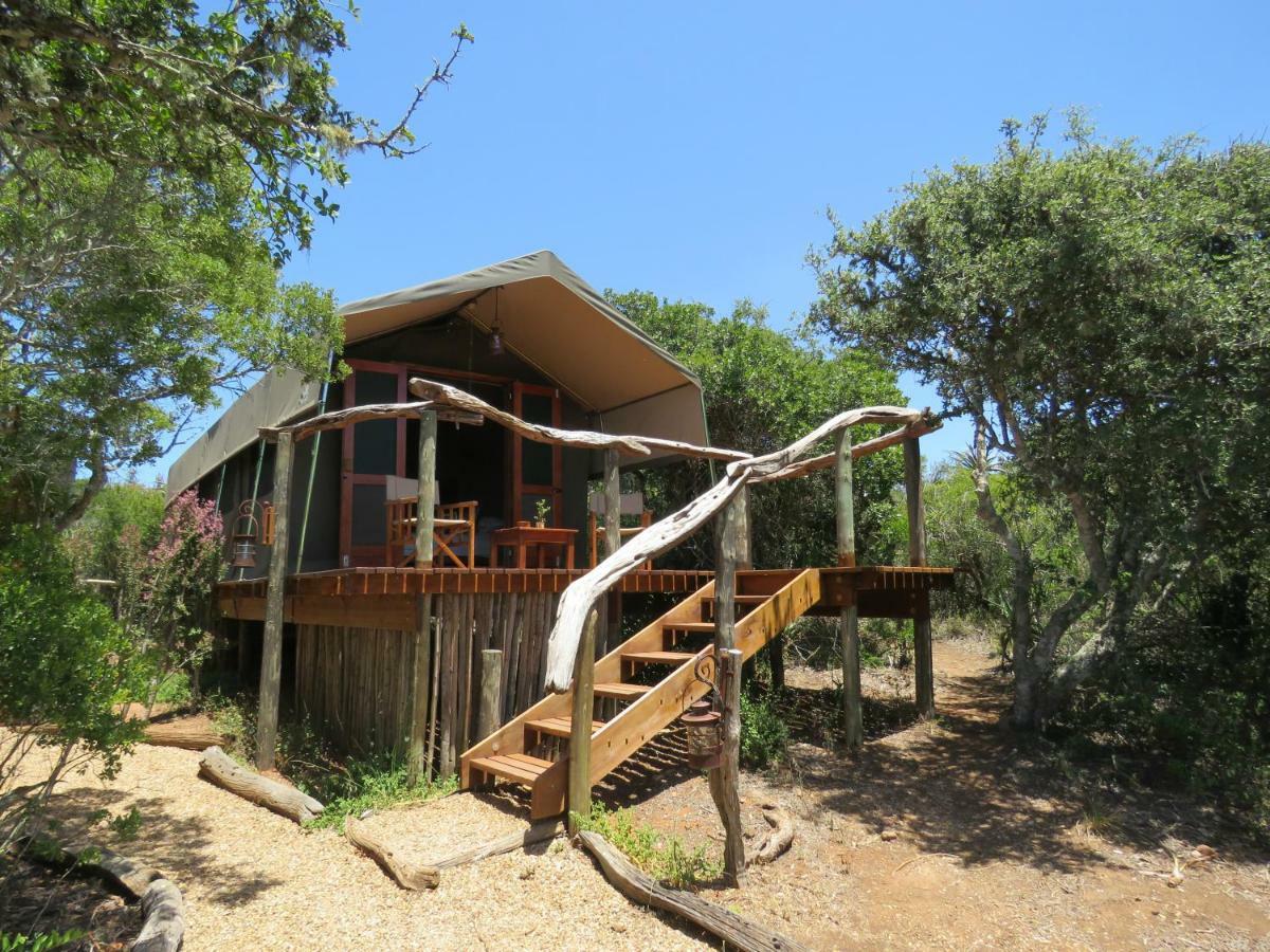 Woodbury Tented Camp - Amakhala Doğa Koruma Alanı Dış mekan fotoğraf