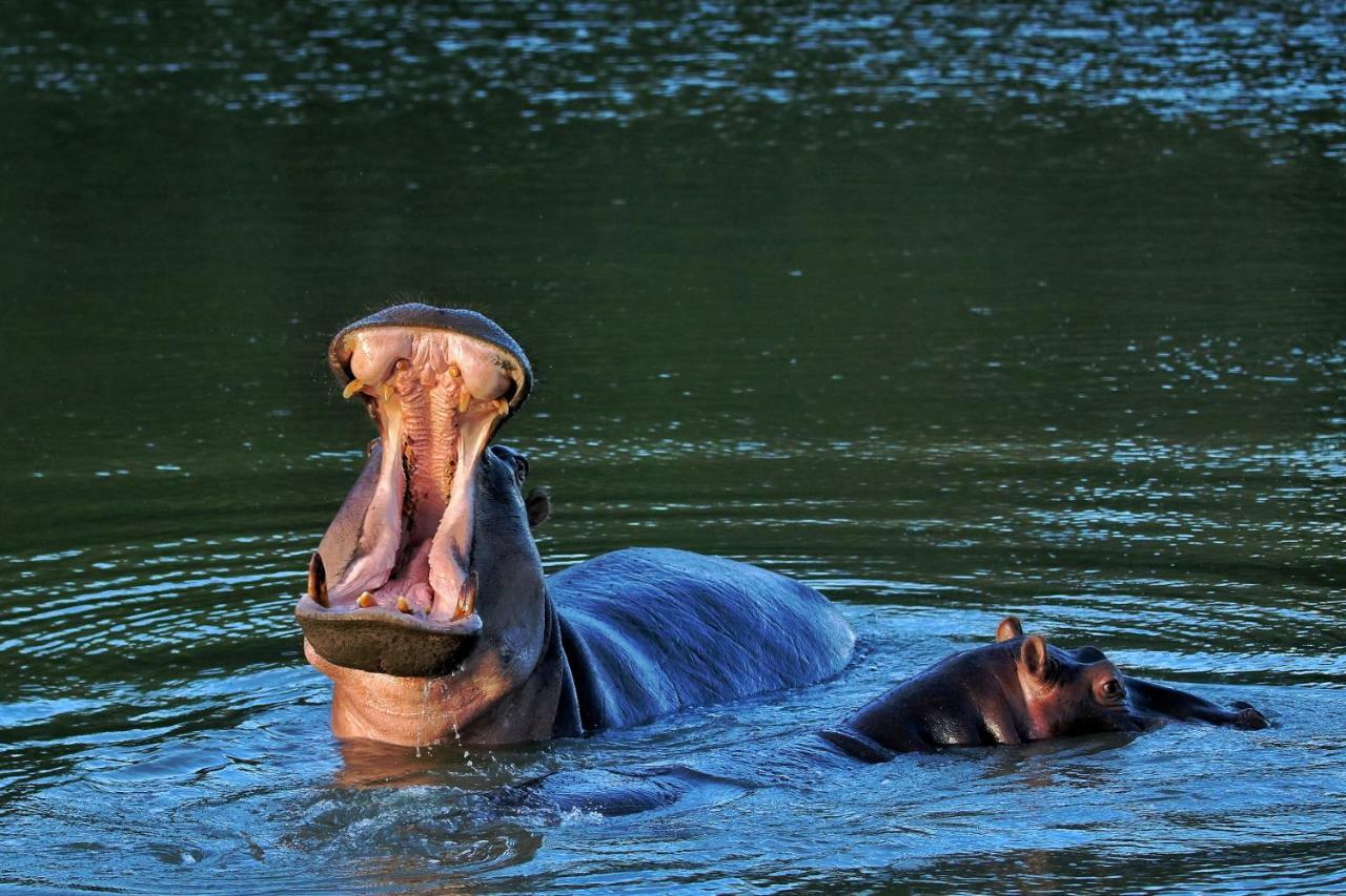 Woodbury Tented Camp - Amakhala Doğa Koruma Alanı Dış mekan fotoğraf